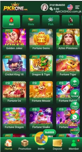 pkrone game