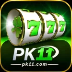 PK11Game