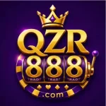 QZR888 game logo